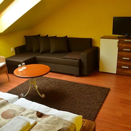 Penzion Bokros Guest house *