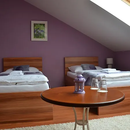 Penzion Bokros Guest house Patince