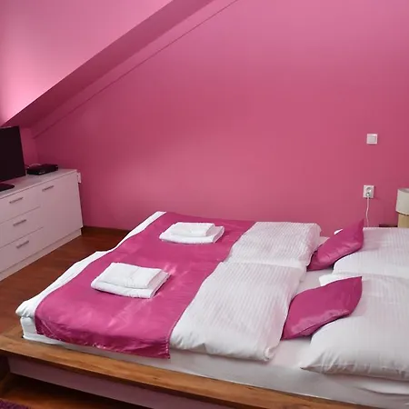 Penzion Bokros Guest house *