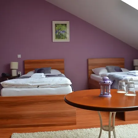 Guest house Penzion Bokros *