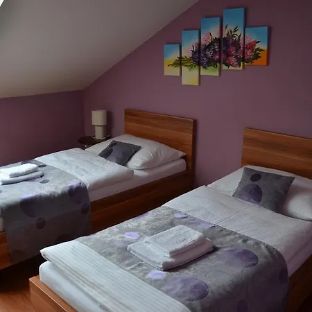Guest house Penzion Bokros Patince